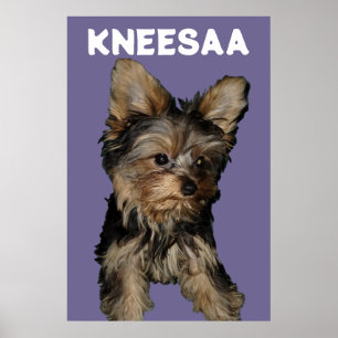 Affiche Personnalisez-Le ! LAVENDER Animaux de compagnie P