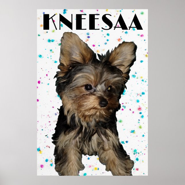Affiche Personnalisez-le ! Photo et nom d'animal de compag (Devant)