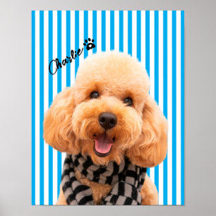 Affiche Personnalisez Votre Propre Animal De Compagnie Chi