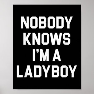 Affiche Personne Ne Sait Que Je Suis Un Ladyboy - Drôle La