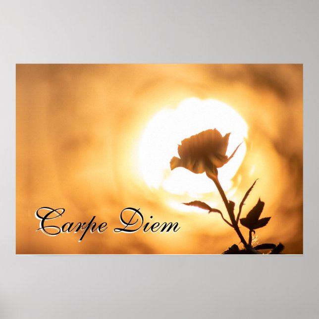 Affiche Personnelle Carpe Diem brillante fleur rose au cou (Devant)