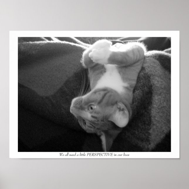 Affiche Perspective (Devant)