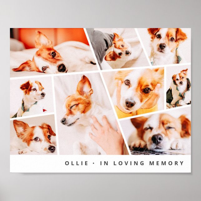 Affiche Pet Memorial Modern Simple Chic 9 Photos Collage (Devant)
