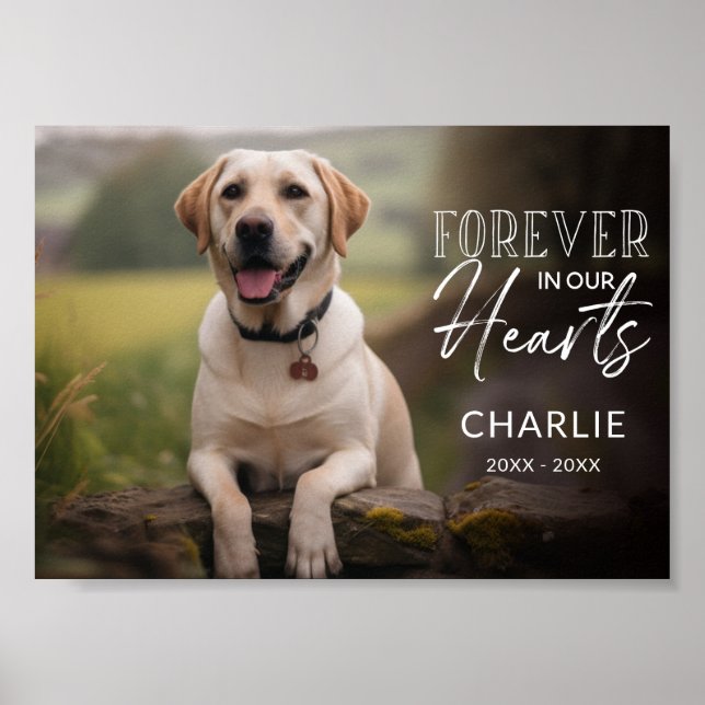 Affiche Pet Photo Custom Memorial (Devant)
