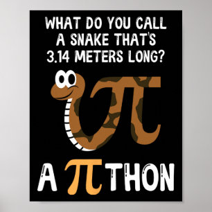Affiche Pet Snake Math Pi Day Python