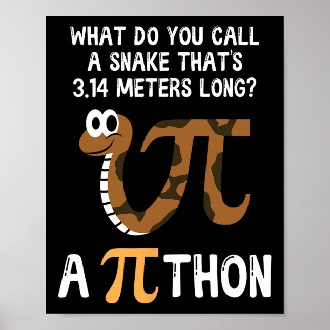 Affiche Pet Snake Math Pi Day Python (Devant)