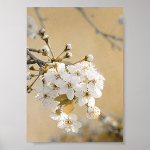 Affiche Pétales de Promise Printemps Embrasser les fleurs