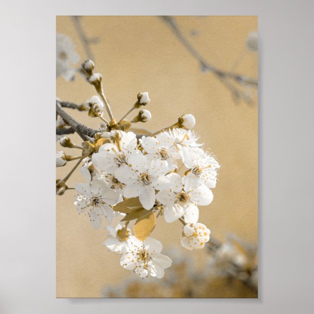 Affiche Pétales de Promise Printemps Embrasser les fleurs  (Devant)