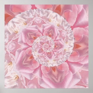 Affiche Pétales de rose rose spirale d'amour oeuvre numéri