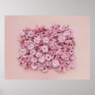 AFFICHE PETAUX DE FLEURS ROSES ET BLANCHES