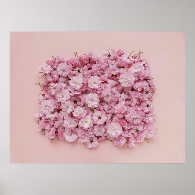 AFFICHE PETAUX DE FLEURS ROSES ET BLANCHES (Devant)