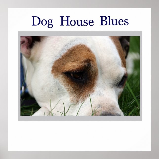 Affiche Pete Pit1 (Devant)