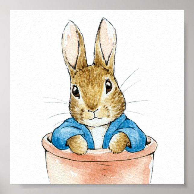 Affiche Peter le lapin assis dans un pot Plante (Devant)