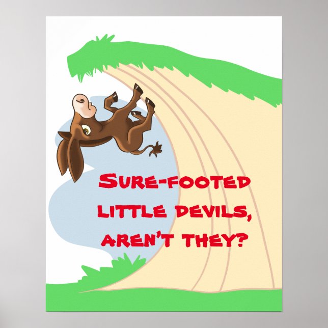 Affiche Petit âne à pattes (Devant)