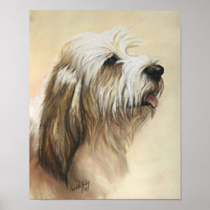 Affiche Petit Basset Griffon Vendeen Chien Art Imprimer