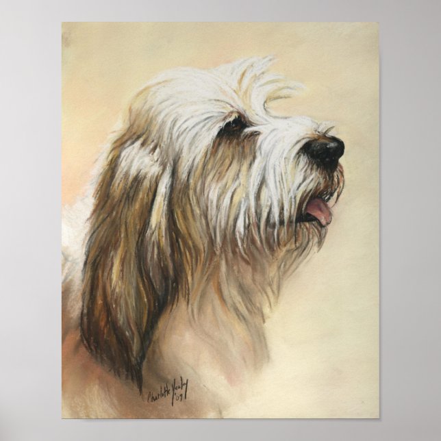Affiche Petit Basset Griffon Vendeen Chien Art Imprimer (Devant)