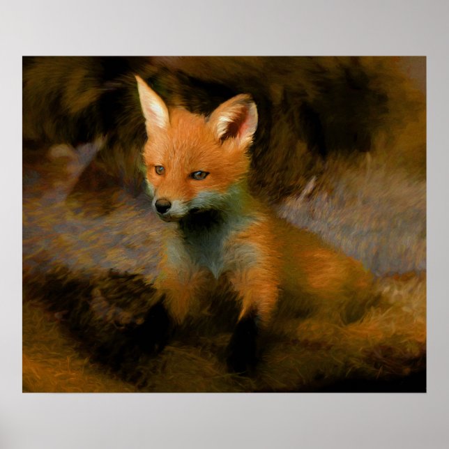 Affiche Petit bébé Fox Cub Portrait (Devant)