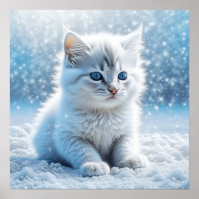 Affiche Petit chaton blanc dans Noël enneigé (Devant)