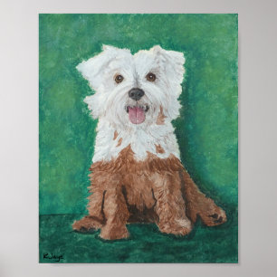 Affiche Petit Chien blanc après le bain - Beaux art Imprim