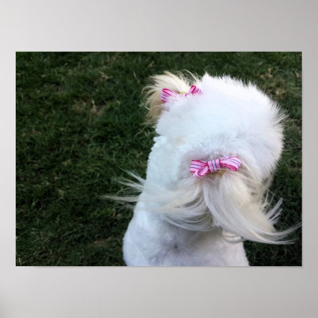 Affiche Petit chiot avec rubans (Devant)