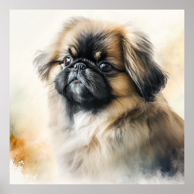 Affiche Petit chiot Pekingese Aquarelle Peinture (Devant)