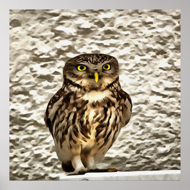Affiche Petit Chouette Brown Portrait Artistique (Devant)