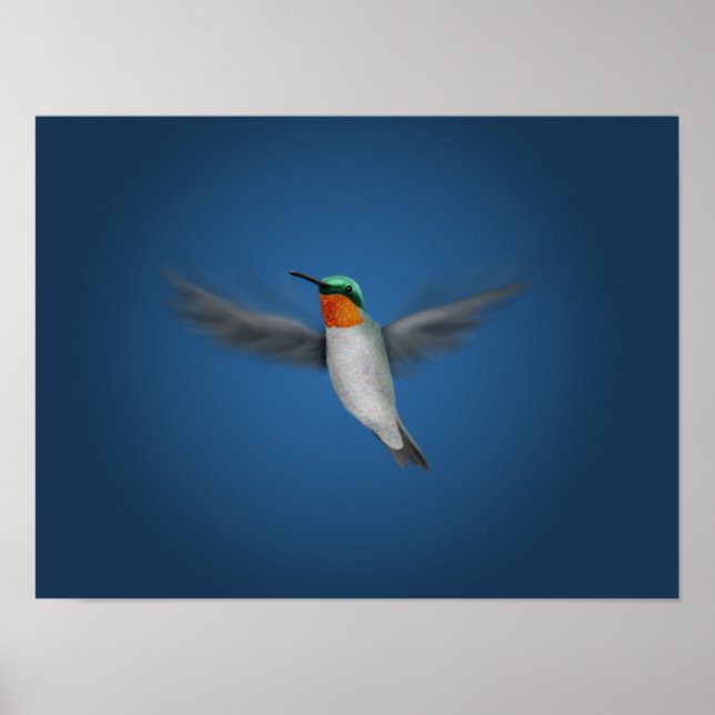 Affiche Petit colibri illustré (Devant)