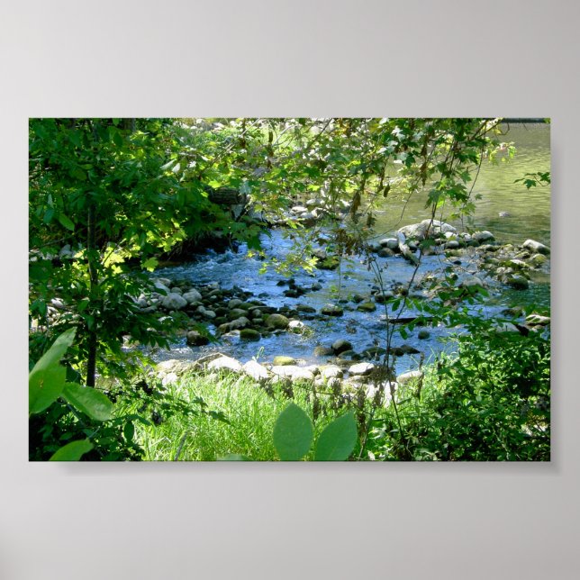 Affiche Petit flux (Devant)