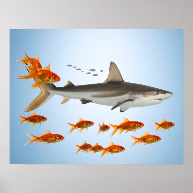 Affiche « Petit poisson rouge, grosse énergie de requin » (Devant)