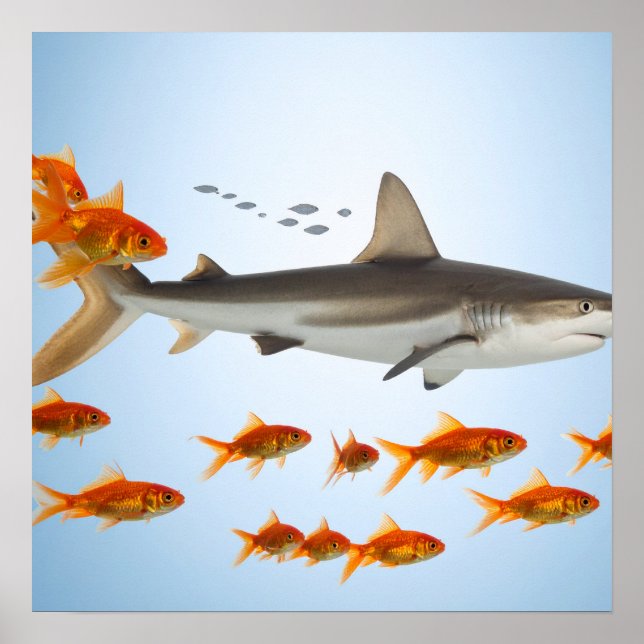 Affiche « Petit poisson rouge, grosse énergie de requin » (Devant)