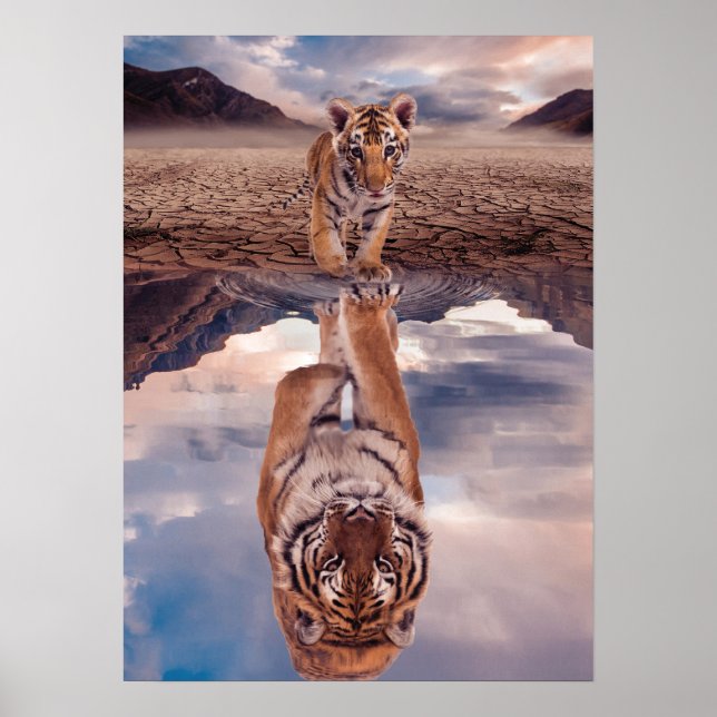 Affiche Petit tigre regardant le reflet d'un tigre adulte (Devant)