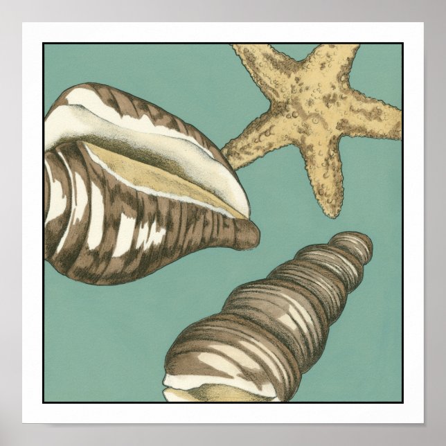 Affiche Petit trio Shell Turquoise (Devant)