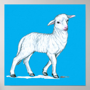 Affiche Petit White Lamb
