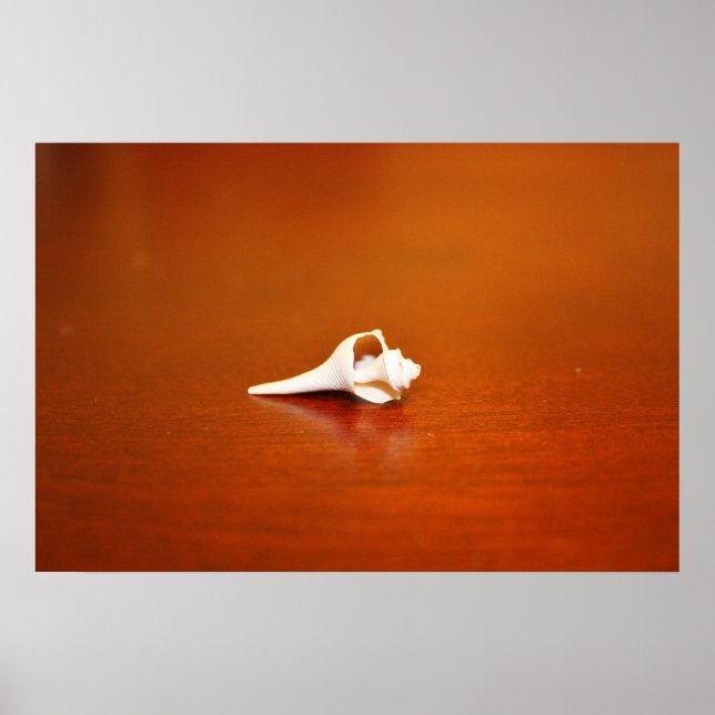 Affiche Petite coque (Devant)