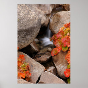 Affiche Petite crique en automne, Californie