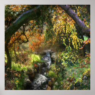 AFFICHE PETITE FORÊT RIVIÈRE MOYENNE