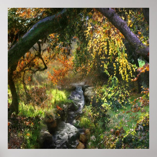 AFFICHE PETITE FORÊT RIVIÈRE MOYENNE (Devant)