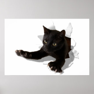 Affiche petite panthère