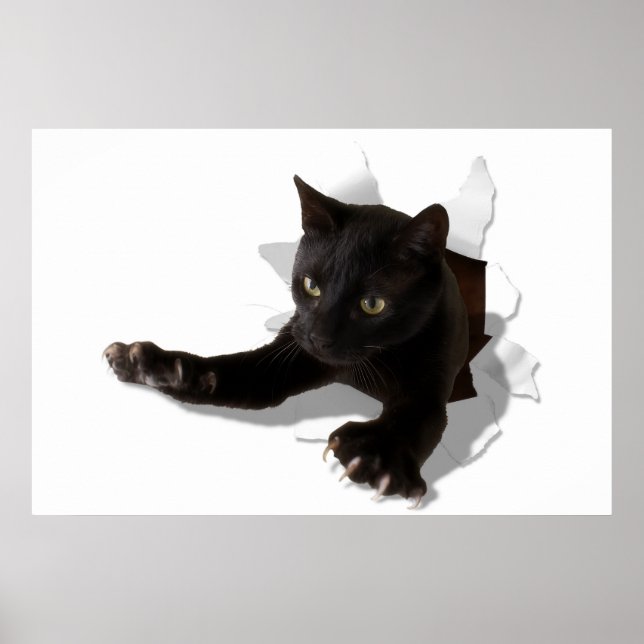 Affiche petite panthère (Devant)