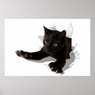 Affiche petite panthère sautante