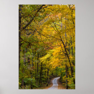 Affiche Petite Route De Gravier Bordée De Couleur D'Automn