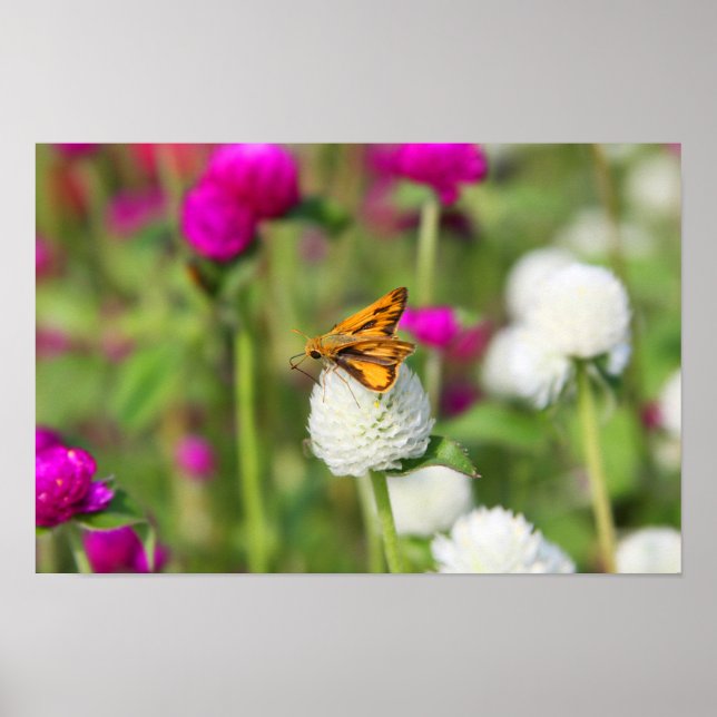 Affiche Petites charges 1 (Devant)