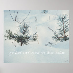 Affiche Petits épicéas sous la neige