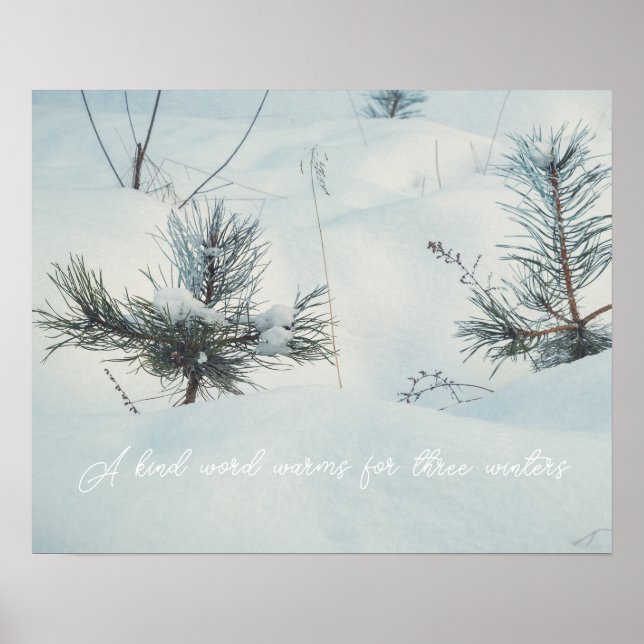 Affiche Petits épicéas sous la neige (Devant)
