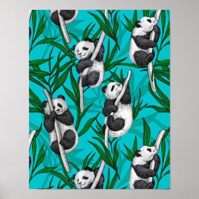 Affiche Petits panda turquoise (Devant)
