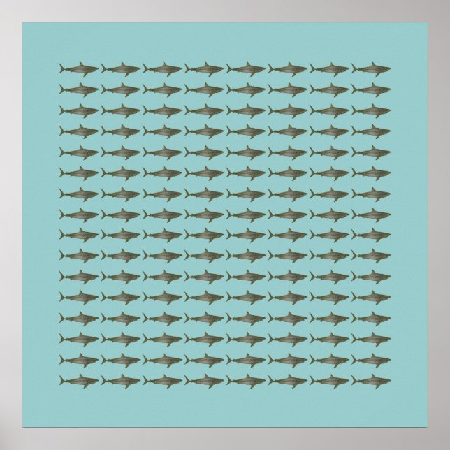 Affiche petits requins (Devant)