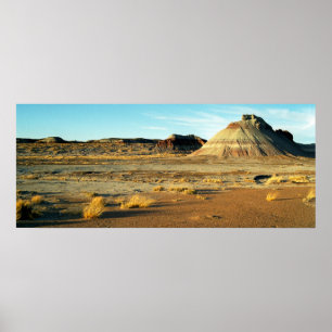 Affiche Petrified Forest Desert Arizona Paysage Photo