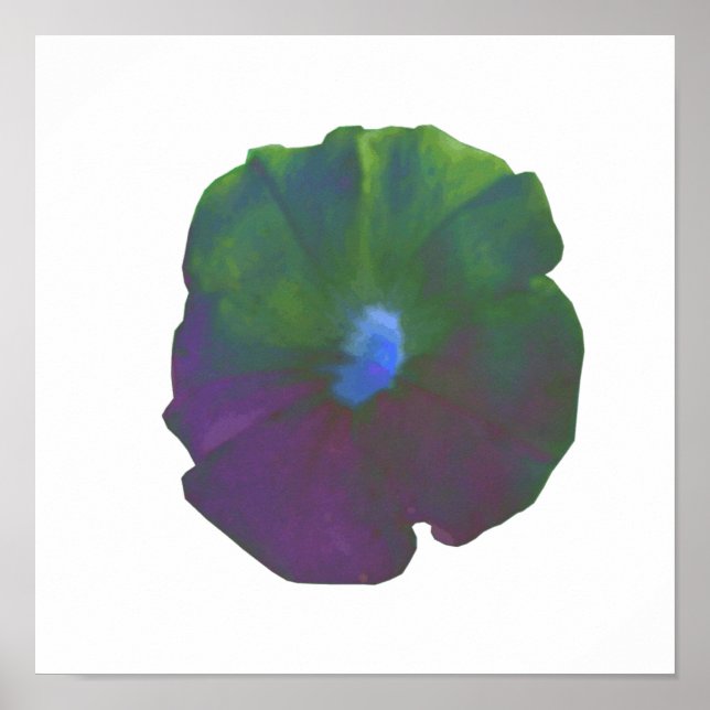 Affiche Petunia Arc-en-ciel (Devant)