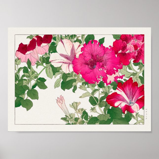 Affiche Petunia par Tanigami Konan (Devant)