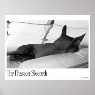 Affiche Pharaon Hound   Pharoah Sleepeth